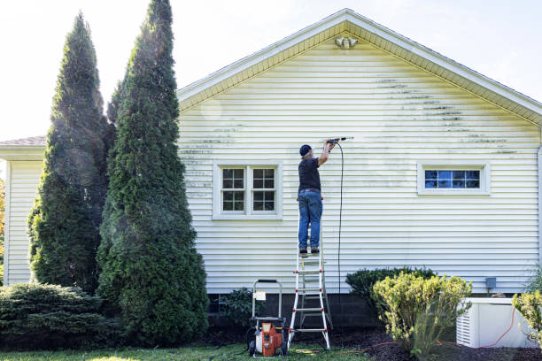 Best Driveway Pressure Washing  in Alanes Ridge, CA